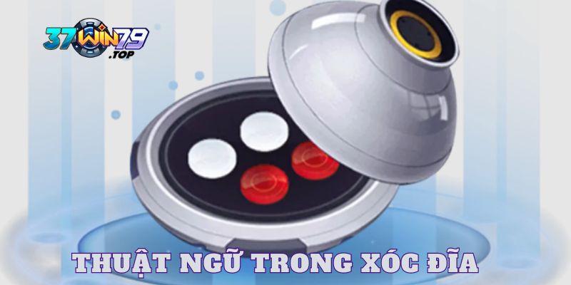 Tìm hiểu thuật ngữ trong game Xóc đĩa